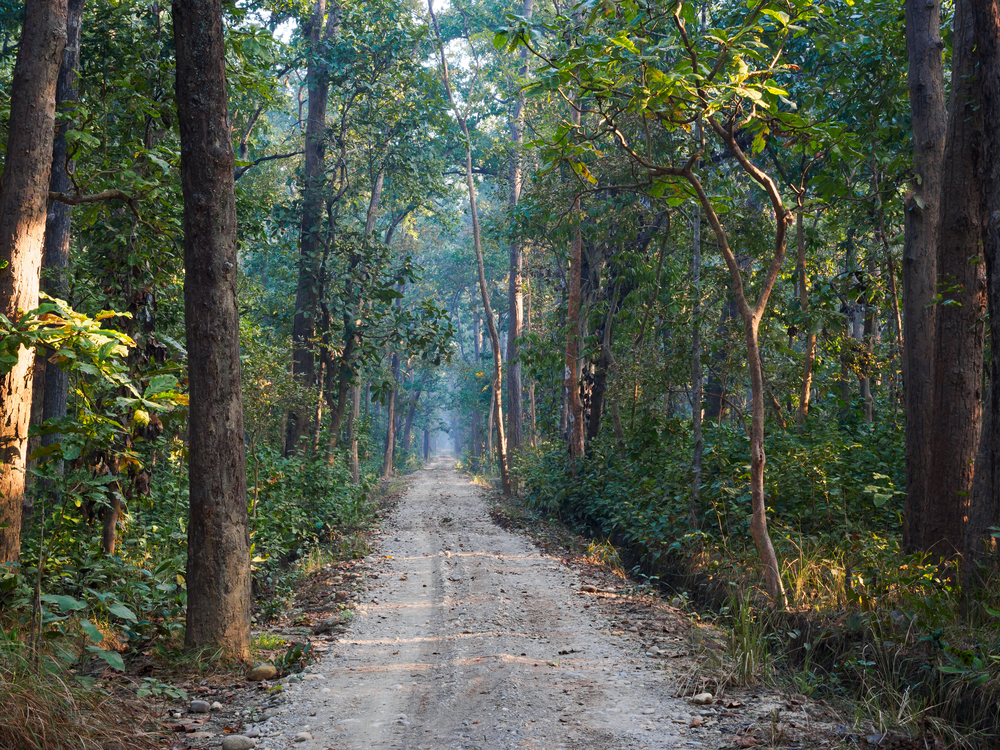 Bardiya National Park