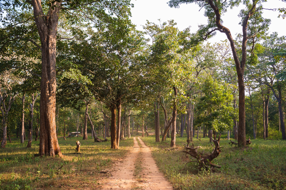 Nagarhole National Park