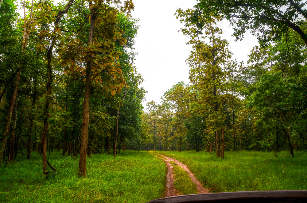 Pench National Park