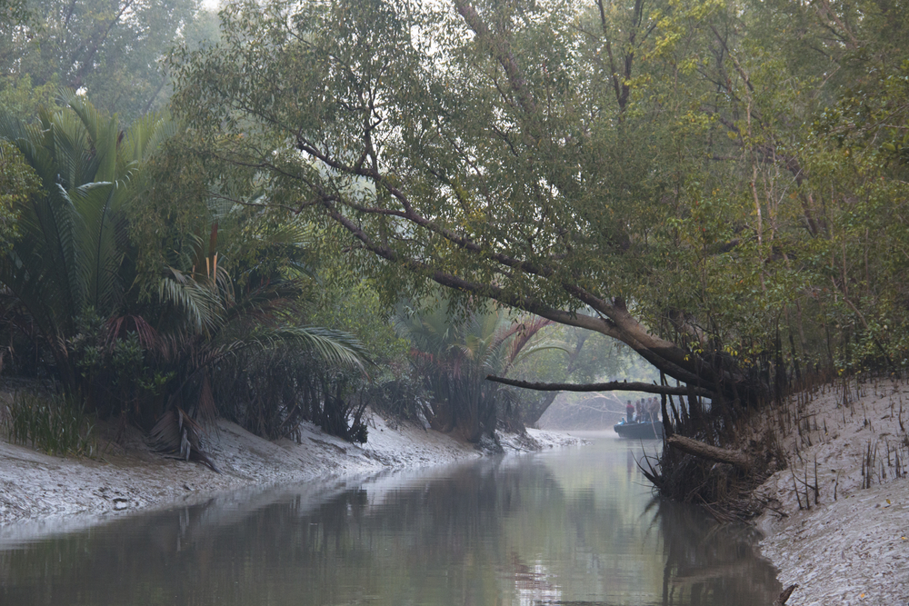 Sundarbans National Park