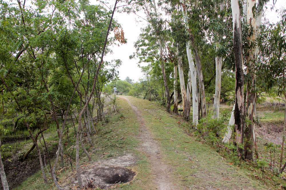 Sundarbans National Park