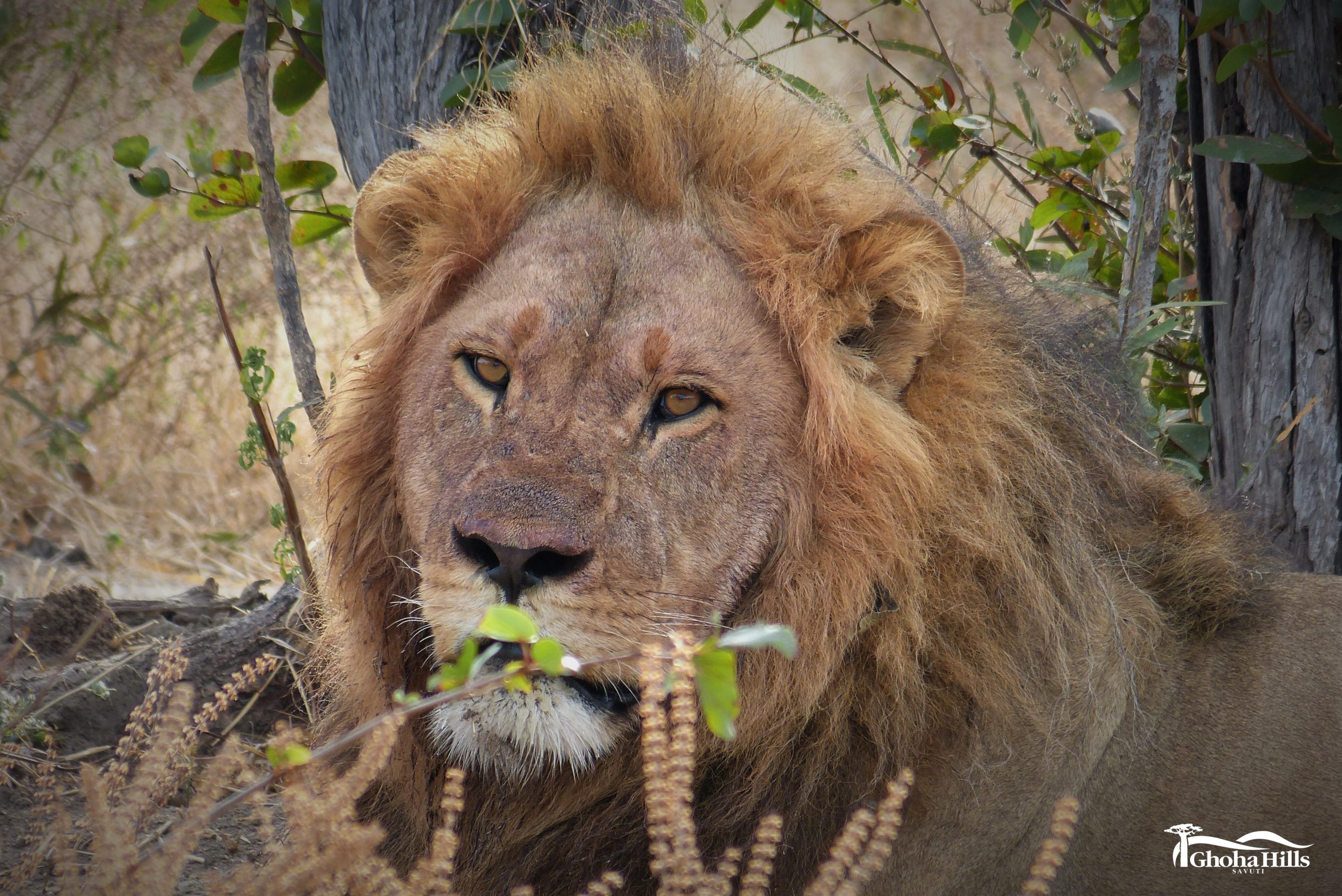 Chobe National Park