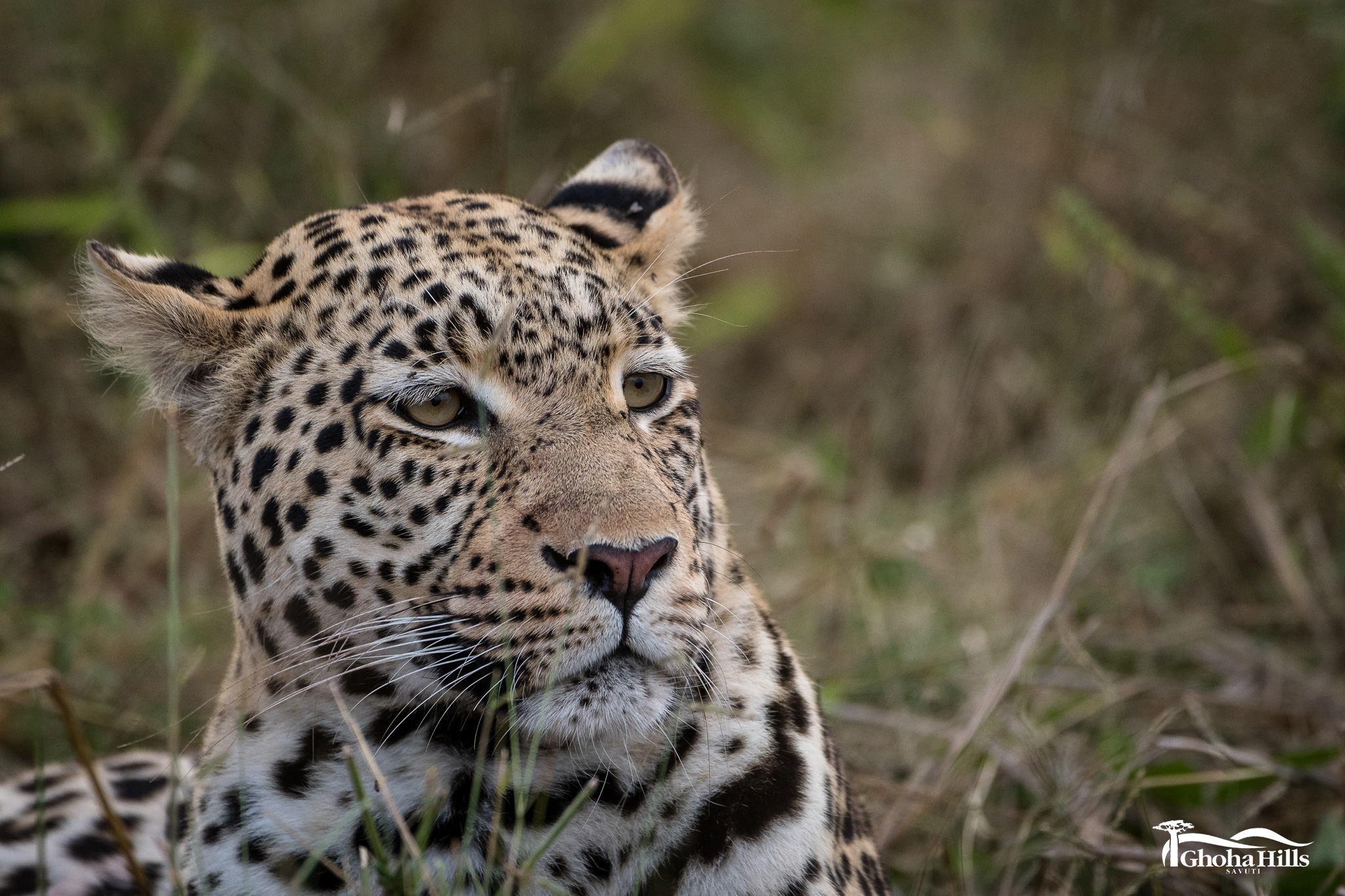 Chobe National Park