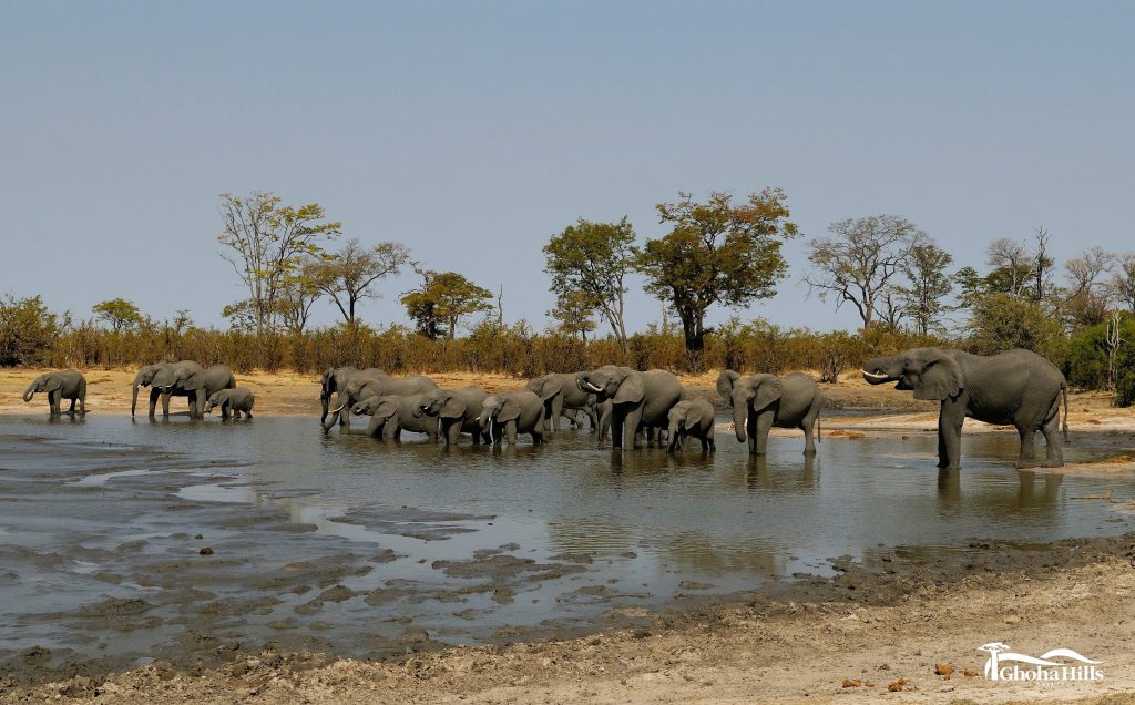 Chobe National Park