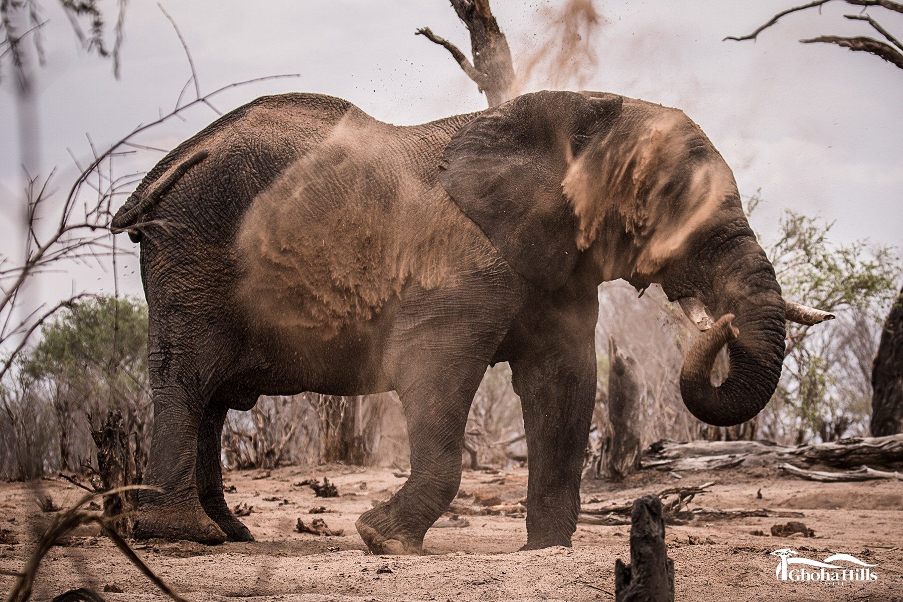 Chobe National Park