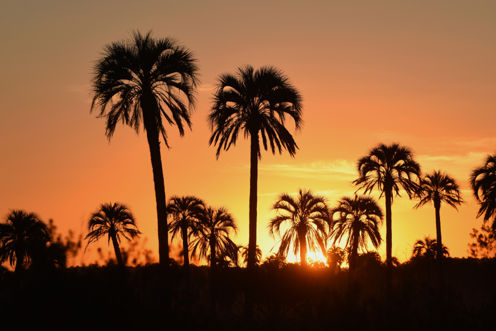 El Palmar National Park