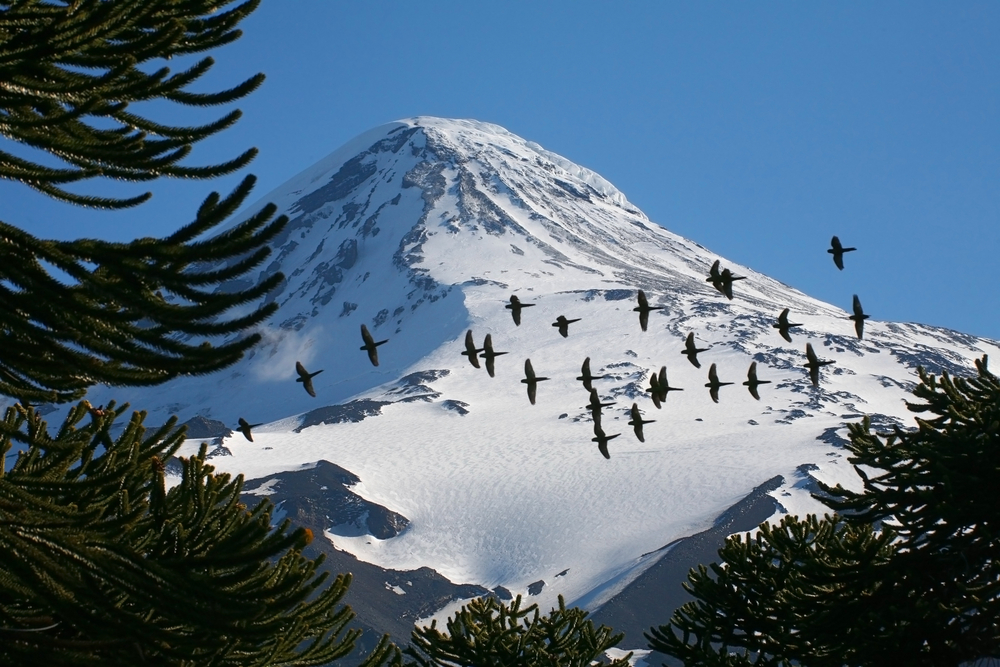 Lanin National Park