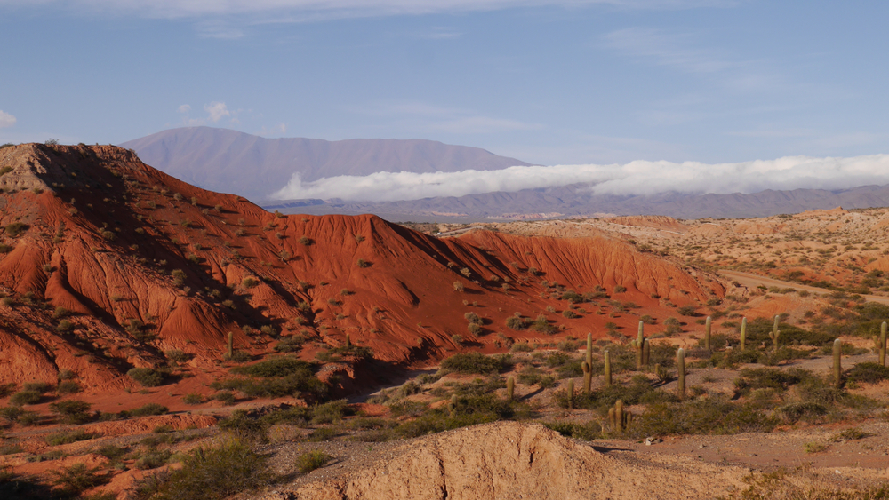 Los Cardones National Park