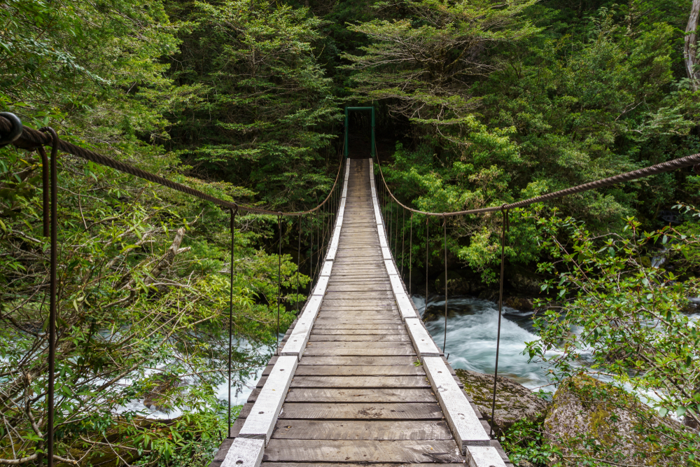 Nahuel Huapi National Park