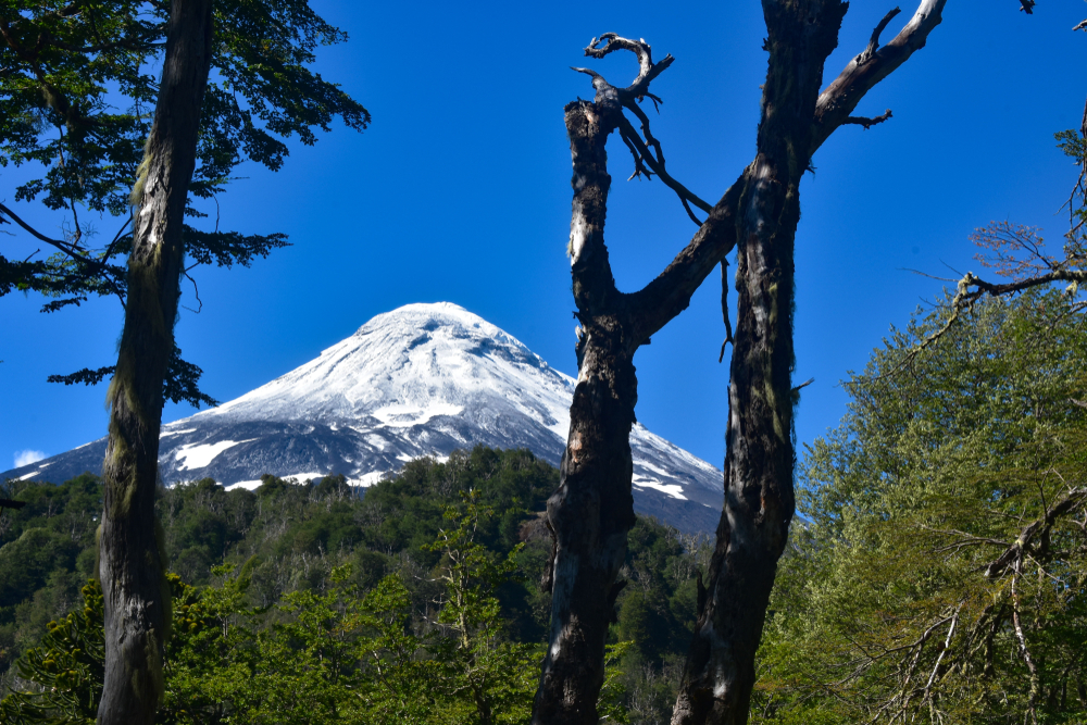 Villarrica National Park