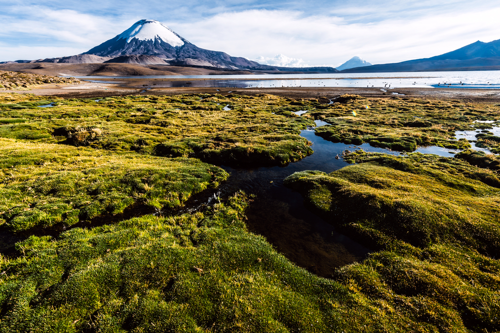 Lauca National Park