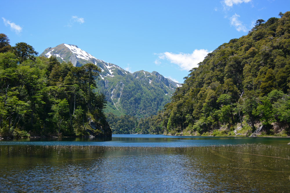 Huerquehue National Park