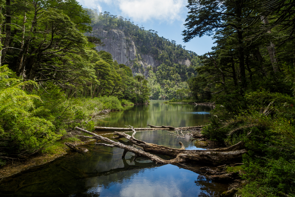Huerquehue National Park