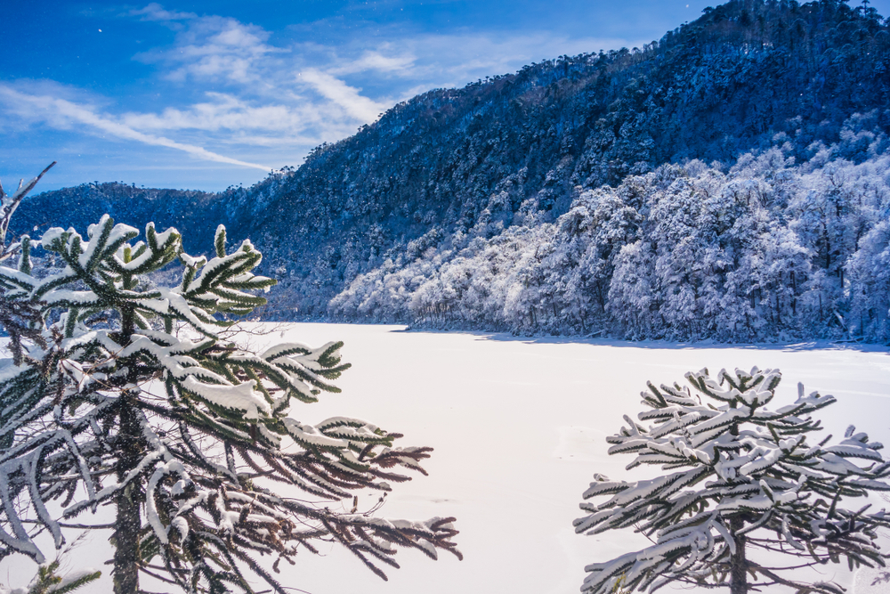 Huerquehue National Park