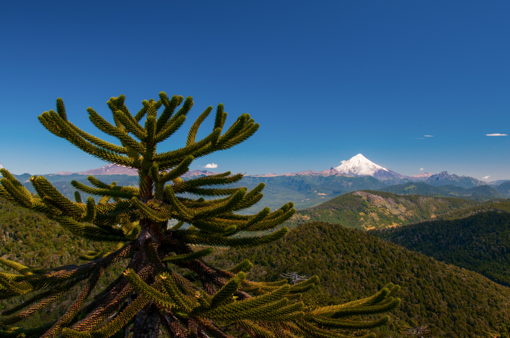 Huerquehue National Park