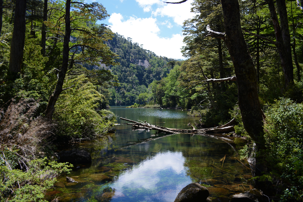 Huerquehue National Park