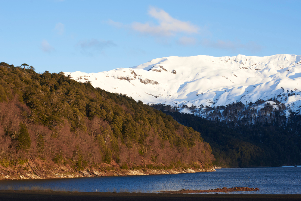 Conguillio National Park