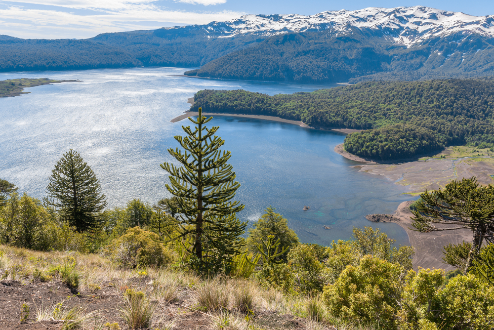 Conguillio National Park