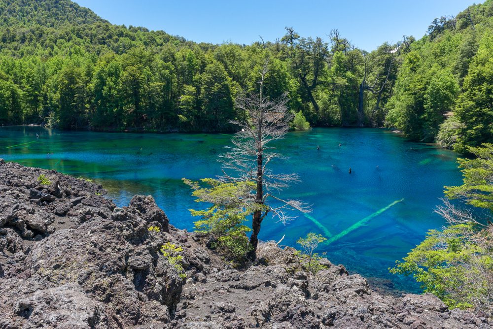Conguillio National Park