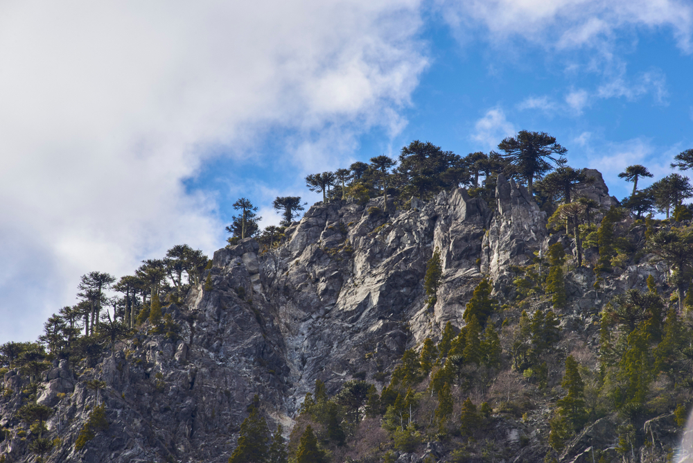 Conguillio National Park