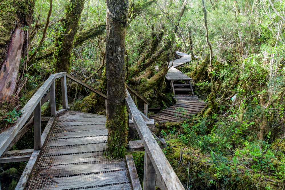 Chiloe National Park