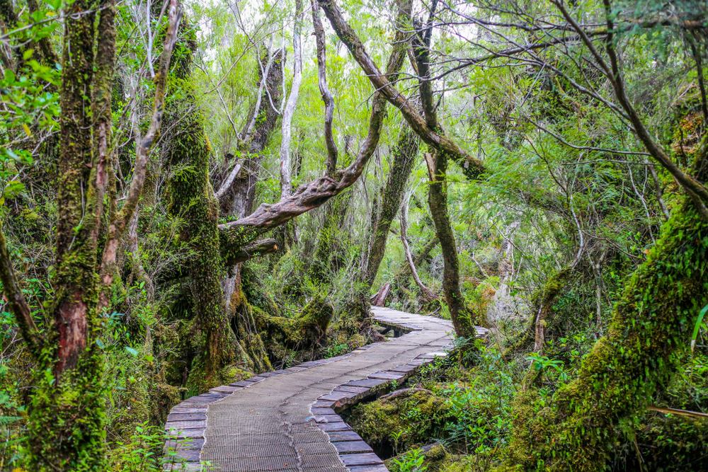 Chiloe National Park
