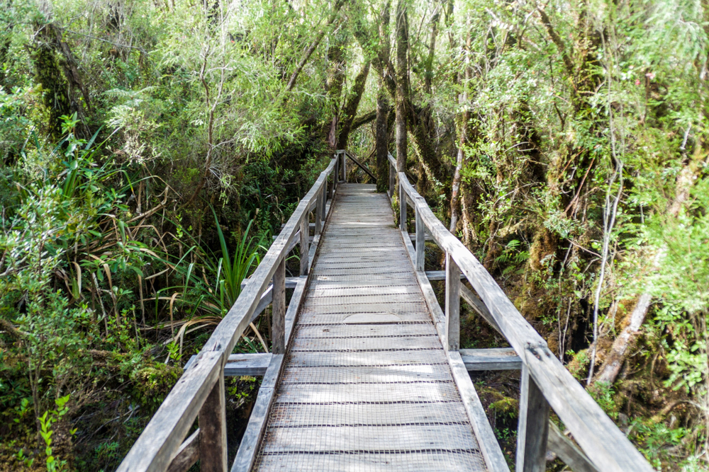 Chiloe National Park