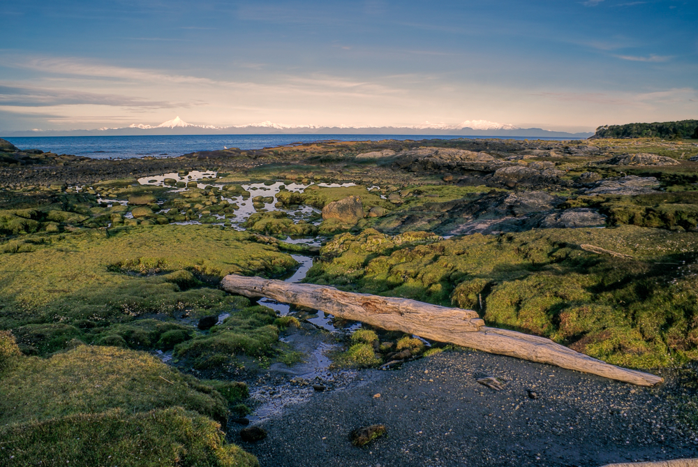 Chiloe National Park