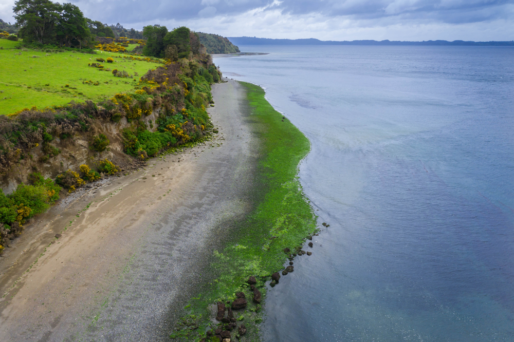 Chiloe National Park