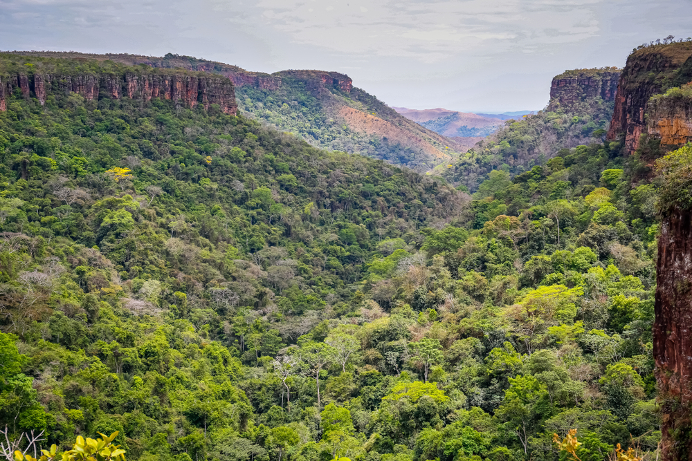 Chapada dos Guimaraes National Park