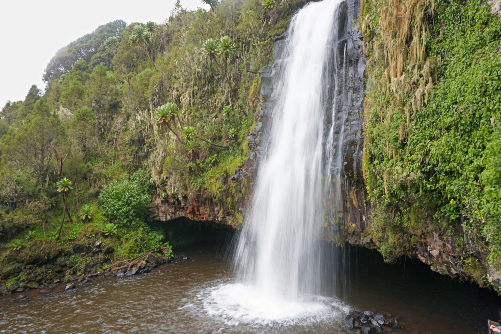 Aberdare National Park