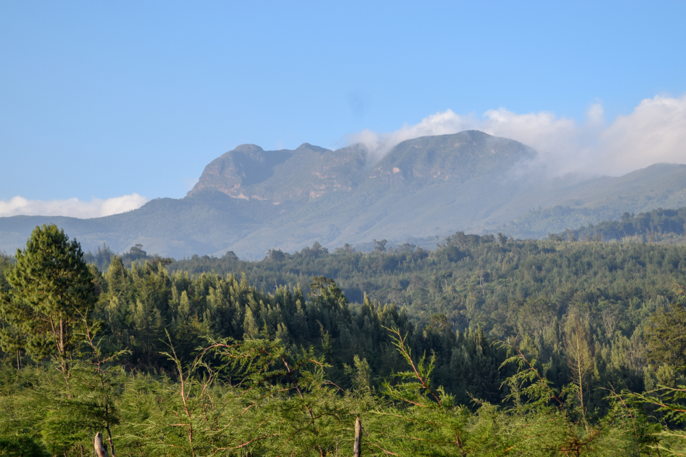 Aberdare National Park