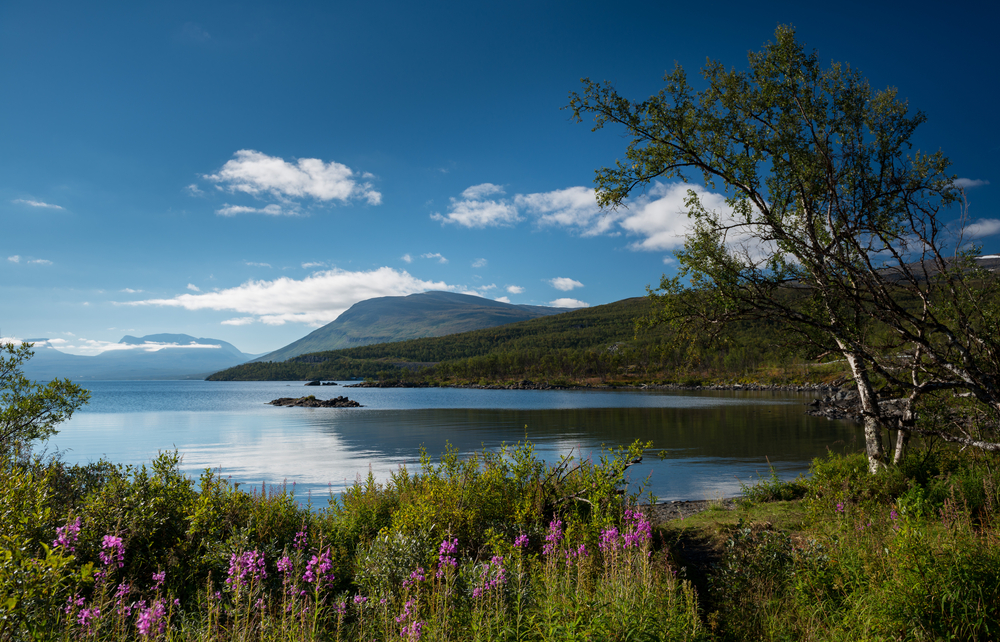 Abisko National Park