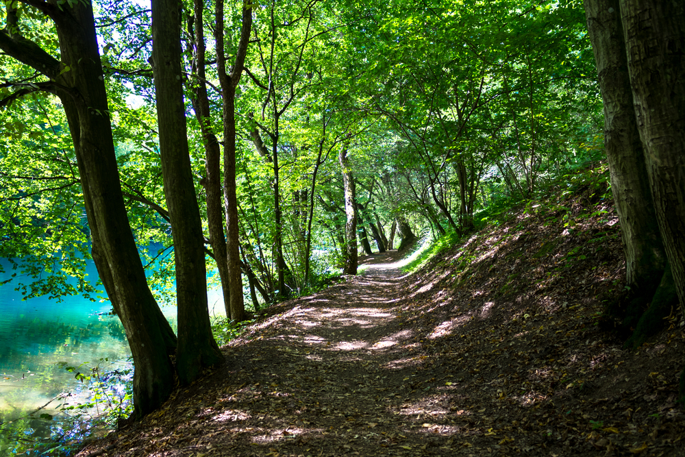 Aggtelek National Park