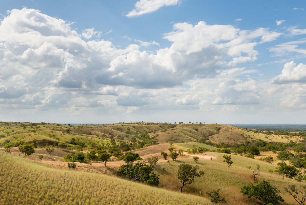 Aguaro-Guariquito National Park