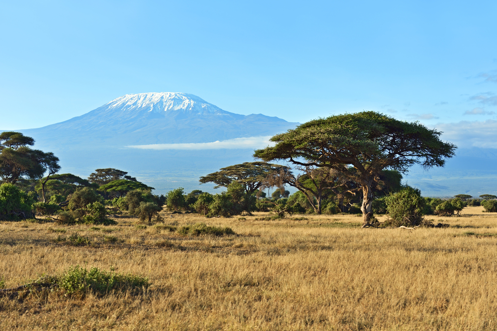 Amboseli National Park