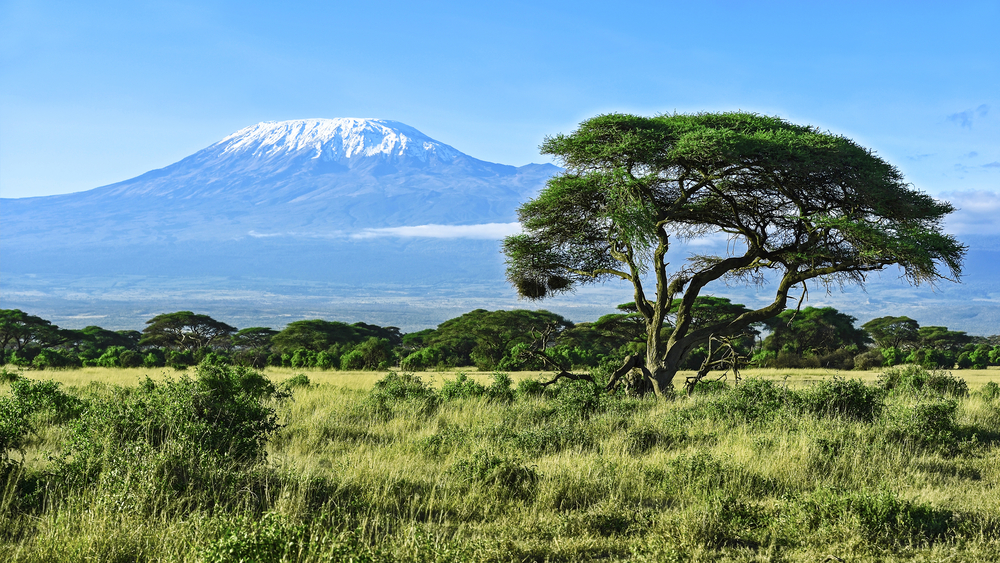 Amboseli National Park