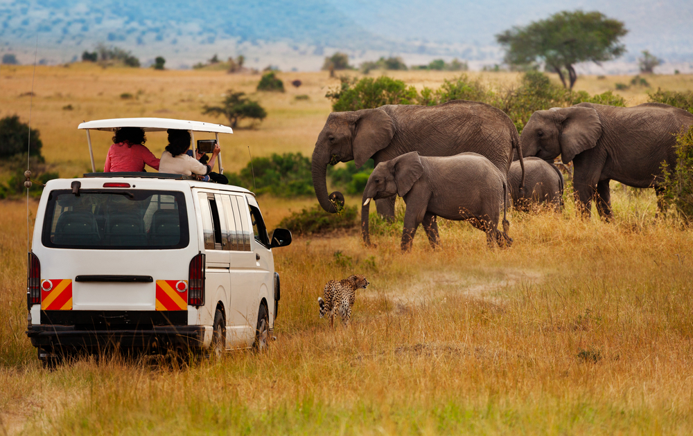 Amboseli National Park