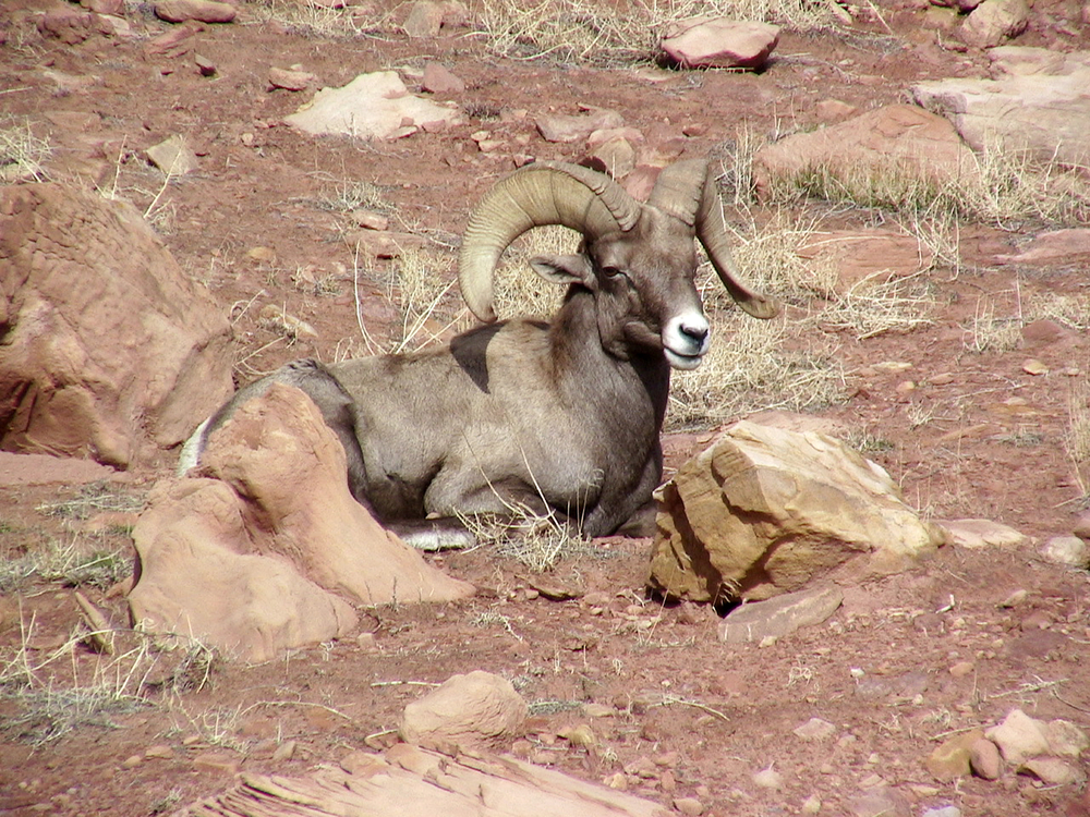 Arches National Park