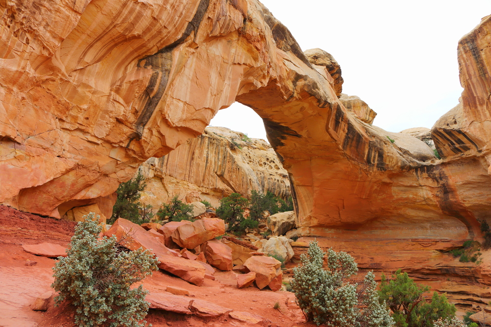 Capitol Reef National Park