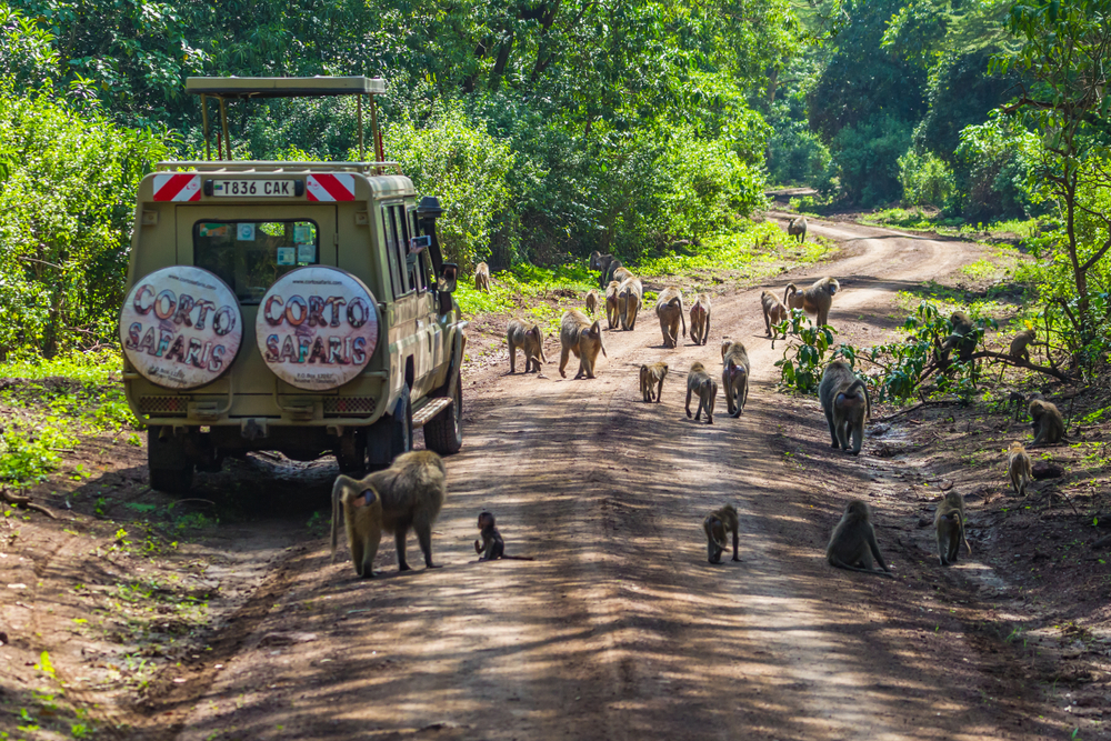 Arusha National Park
