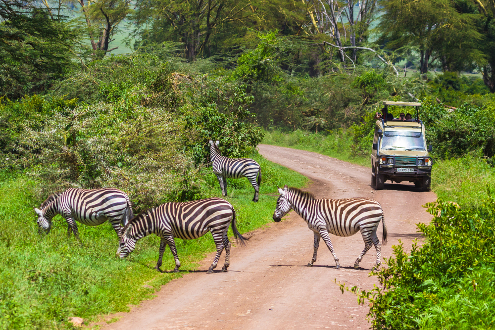 Arusha National Park