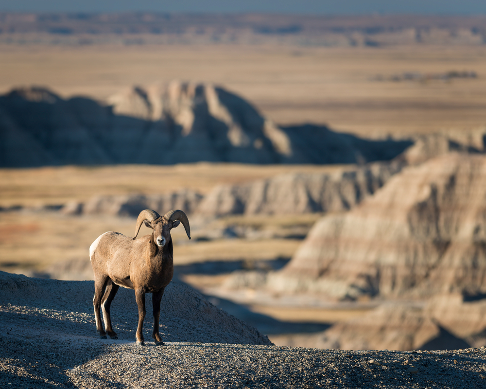 Badlands National Park