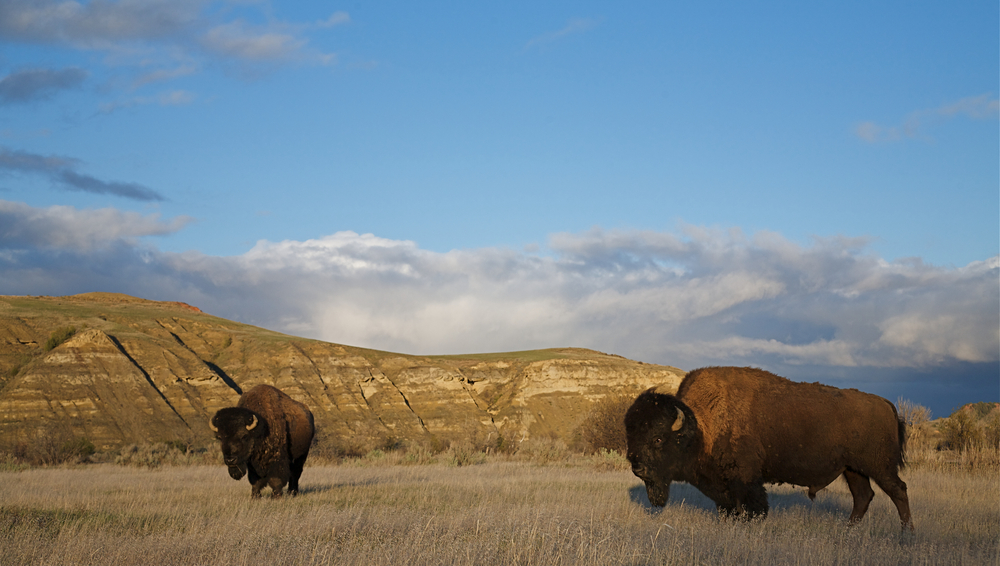 Badlands National Park