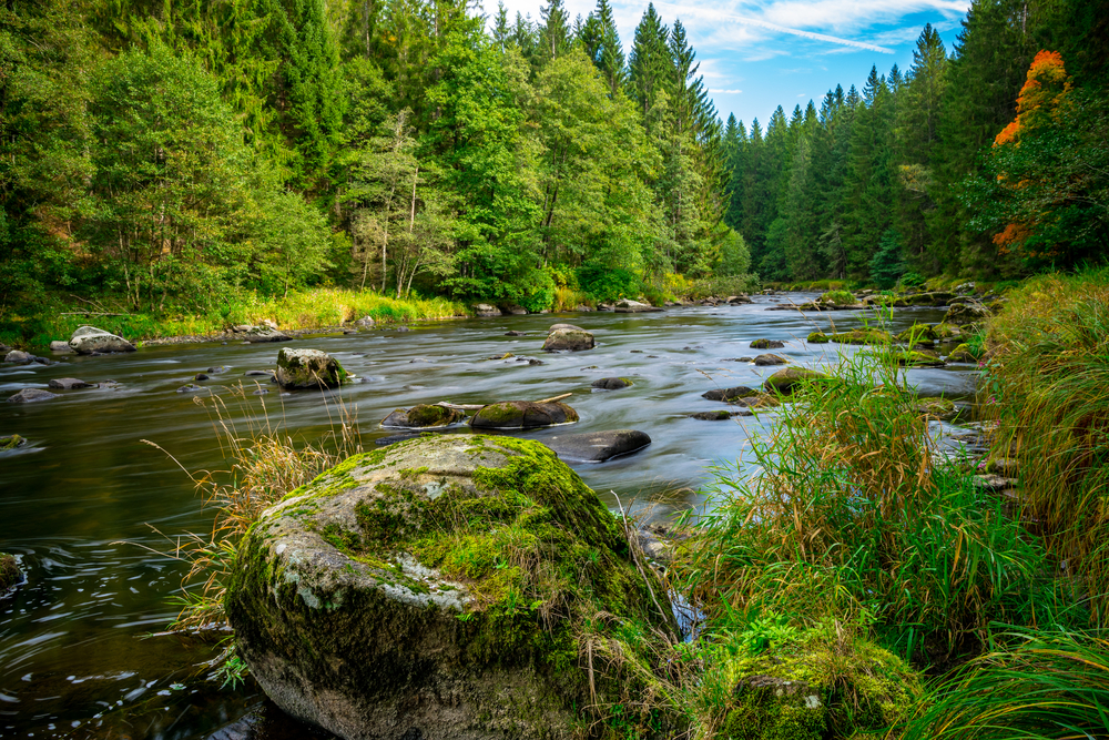 Bavarian Forest National Park