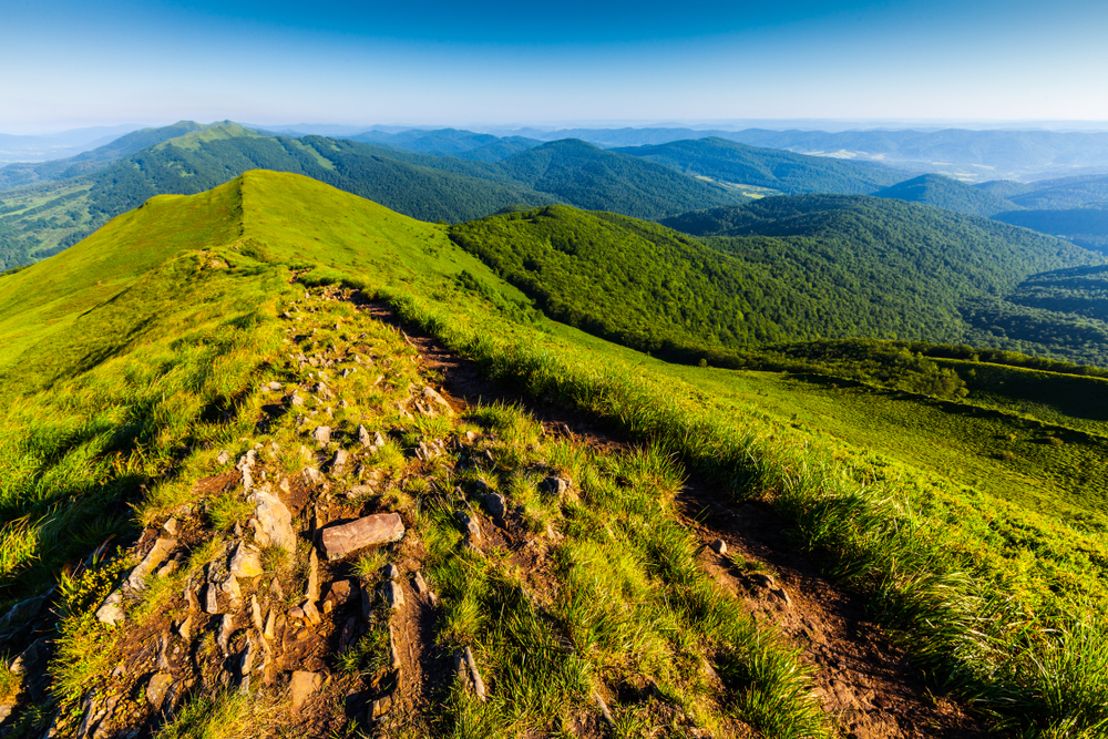 Bieszczady National Park