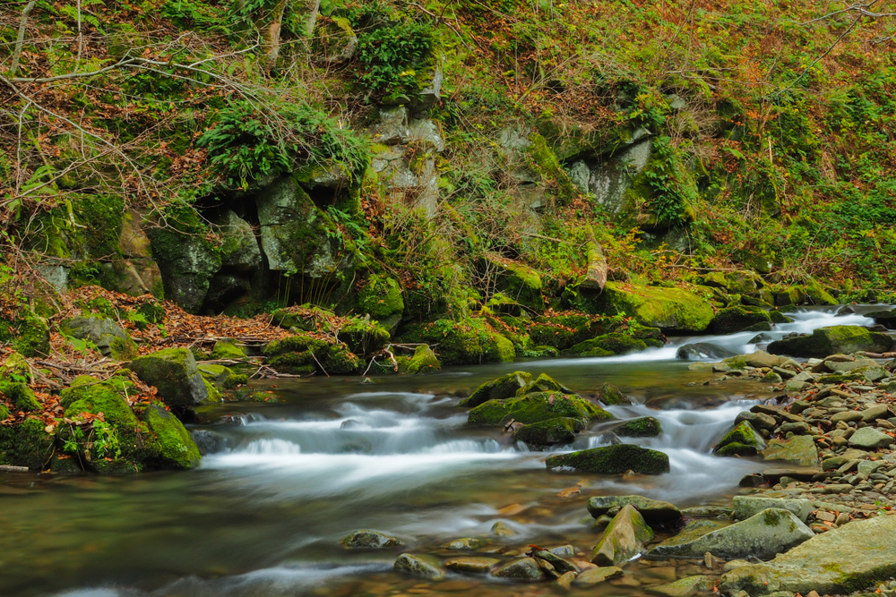Bieszczady National Park
