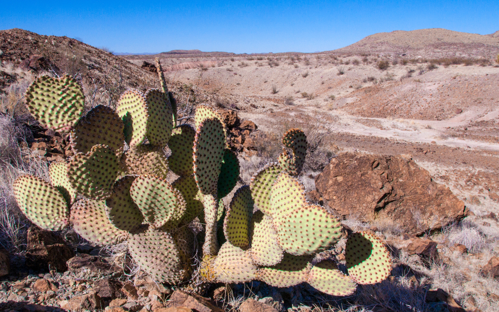 Big Bend National Park