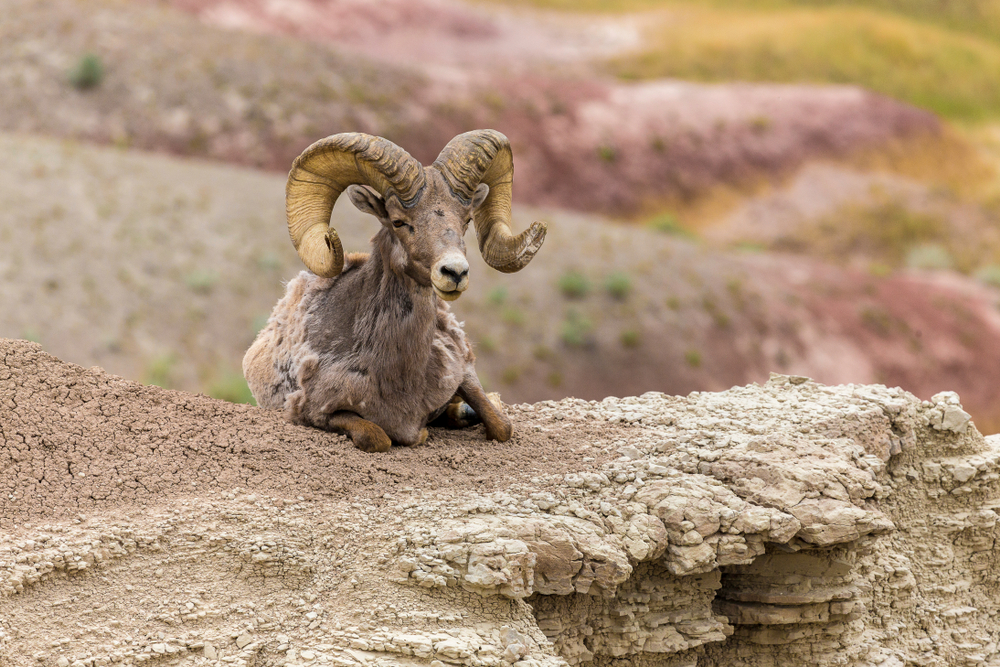 Badlands National Park