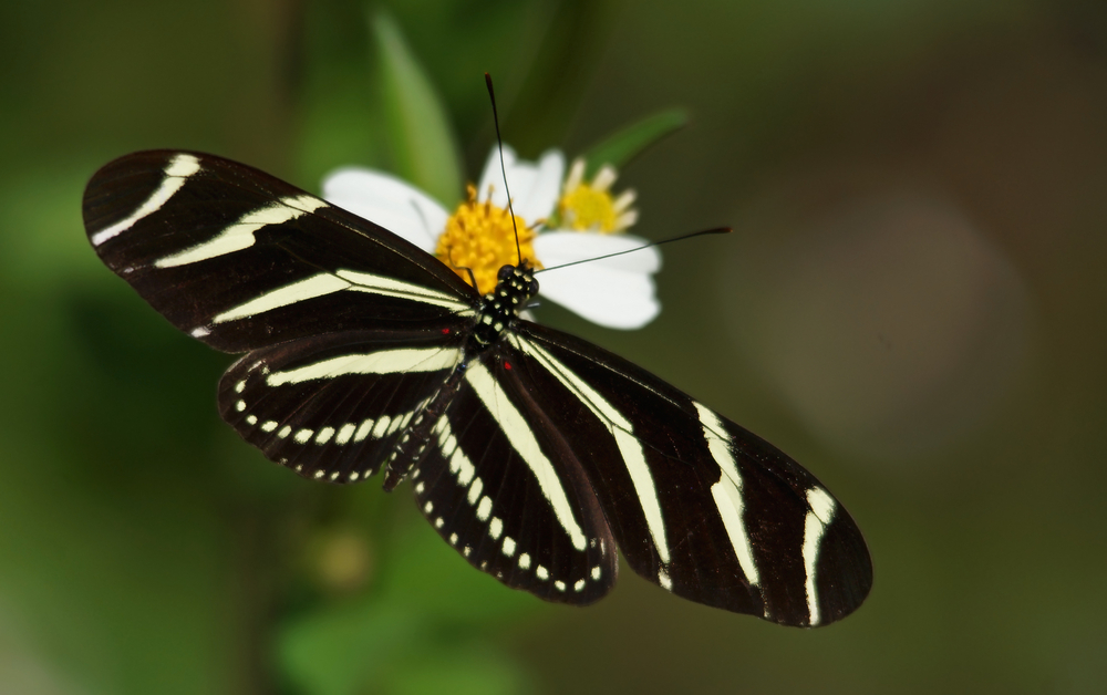 Biscayne National Park